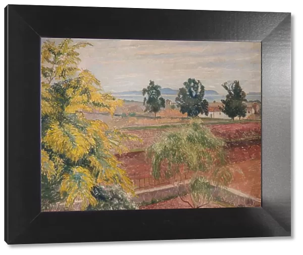 Mimosa Lavendou, 1923. Creator: Lucien Pissarro