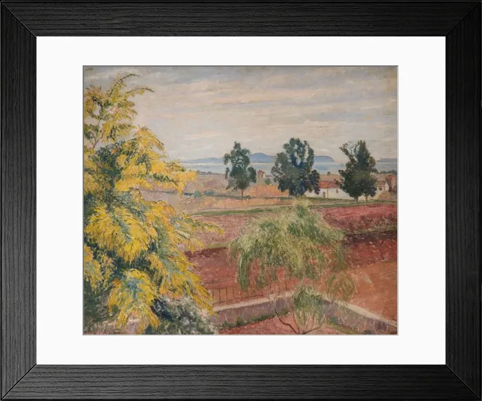 Framed Print : Mimosa Lavendou, 1923. Creator: Lucien Pissarro Framed Print : Mimosa Lavendou, 1923. Creator: Lucien Pissarro