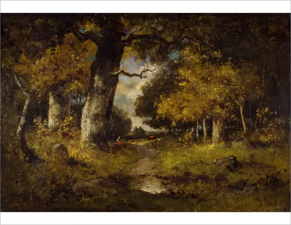 Woodland Scene, 1876. Creator: Narcisse Virgile Diaz de la Pena