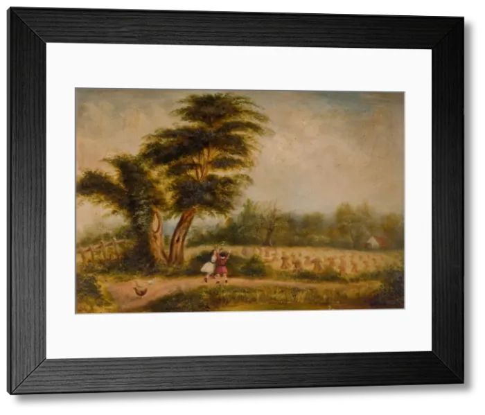 Framed Print : Old Tree at Alum Rock, 1840-1860. Alum Rock, Birmingham. Creator: Unknown Framed Print : Old Tree at Alum Rock, 1840-1860. Alum Rock, Birmingham. Creator: Unknown