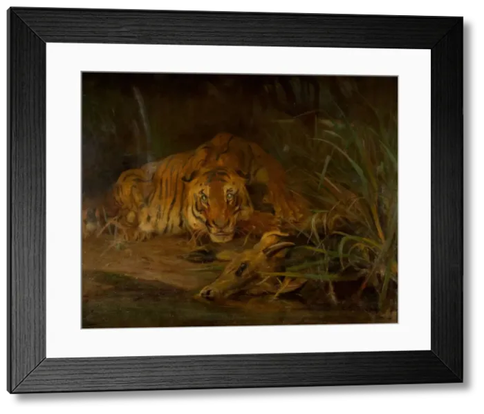 Framed Print : Tiger And Prey, 1931. Creator: Cuthbert Edmund Swan Framed Print : Tiger And Prey, 1931. Creator: Cuthbert Edmund Swan
