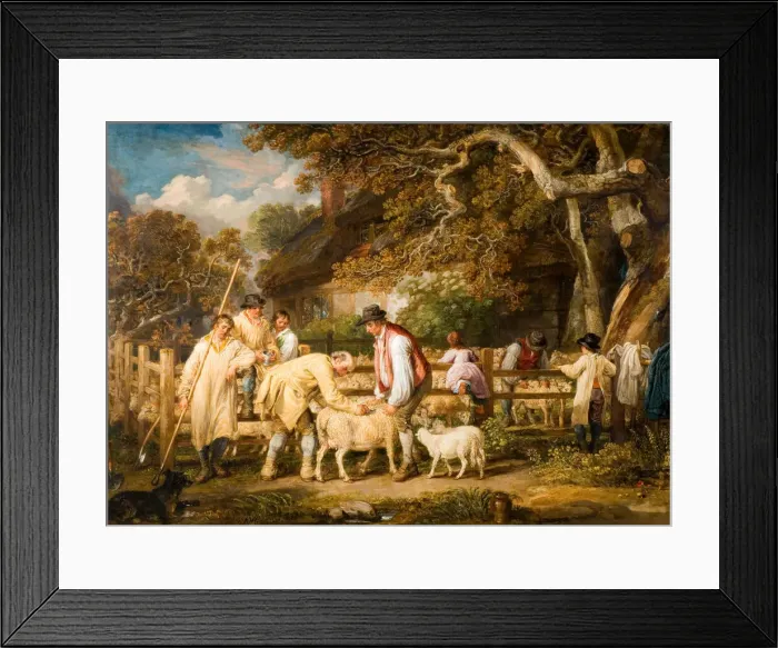 Framed Print : Sheep Salving, 1828. Creator: James Ward Framed Print : Sheep Salving, 1828. Creator: James Ward