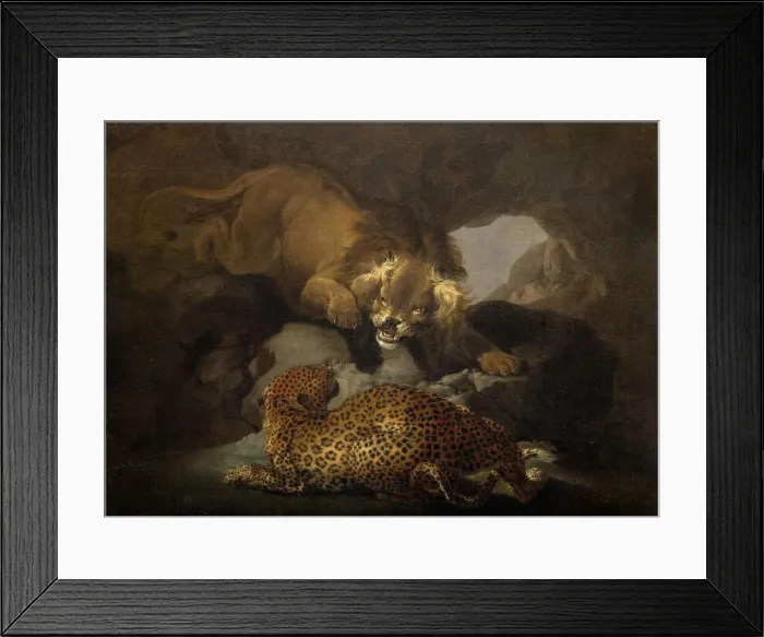Framed Print : Lion And A Leopard, 1820. Creator: Samuel Howitt Framed Print : Lion And A Leopard, 1820. Creator: Samuel Howitt