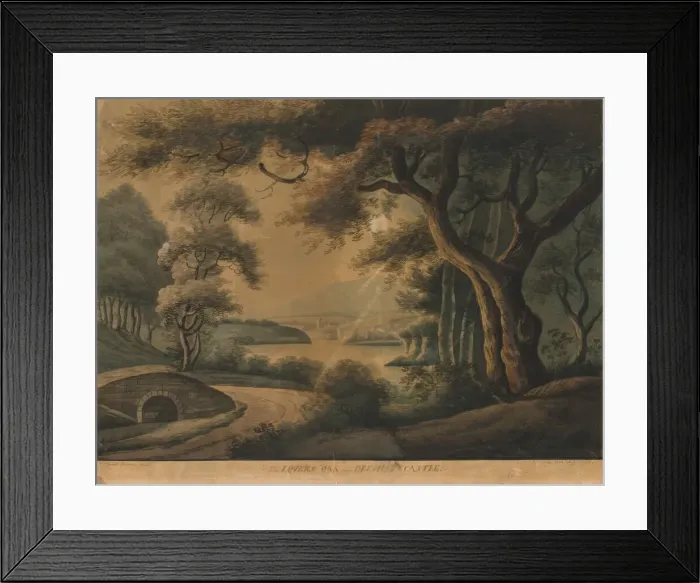 Framed Print : The Lovers Oak near Delville Castle, late 18th century? Creator: Sarah Broome Framed Print : The Lovers Oak near Delville Castle, late 18th century? Creator: Sarah Broome