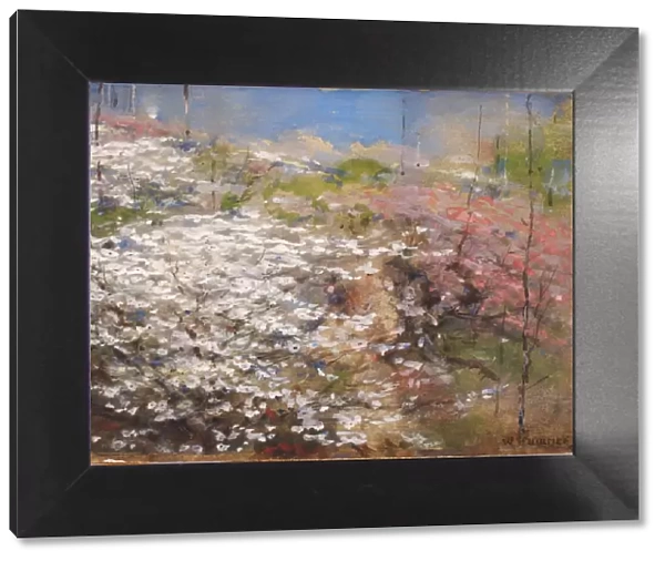 Field of Blossoms, 1927. Creator: William Henry Holmes