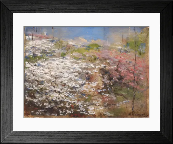 Framed Print : Field of Blossoms, 1927. Creator: William Henry Holmes Framed Print : Field of Blossoms, 1927. Creator: William Henry Holmes