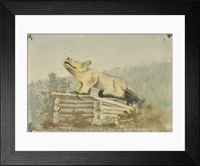 Framed Print : Indian Grave. Wolf Totem over Medicine Man Grave, Wrangell, ca. 1880-1914 Framed Print : Indian Grave. Wolf Totem over Medicine Man Grave, Wrangell, ca. 1880-1914