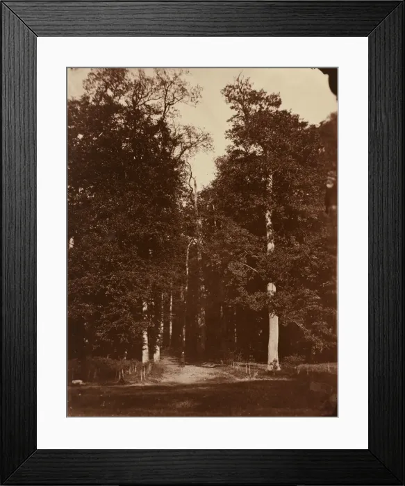 Framed Print : Forest at Saint-Cloud, 1859-1860. Creator: Louis-Remy Robert Framed Print : Forest at Saint-Cloud, 1859-1860. Creator: Louis-Remy Robert