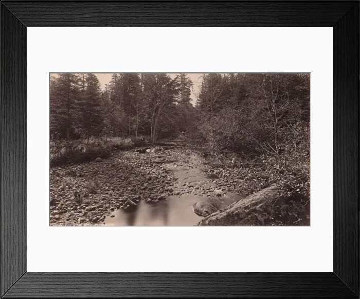 Framed Print : Marion River at Bassetts Camp, c. 1885. Creator: Seneca Ray Stoddard Framed Print : Marion River at Bassetts Camp, c. 1885. Creator: Seneca Ray Stoddard