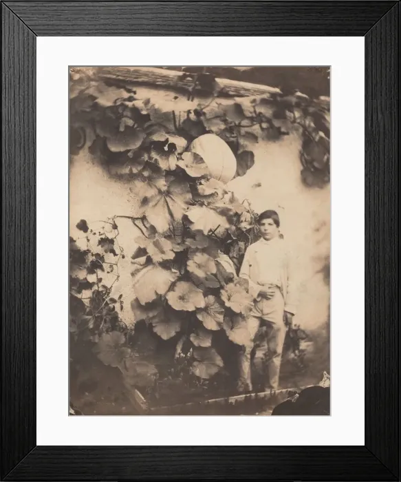 Framed Print : Boy with a Pumpkin Vine, 1854. Creator: Varin Freres Framed Print : Boy with a Pumpkin Vine, 1854. Creator: Varin Freres