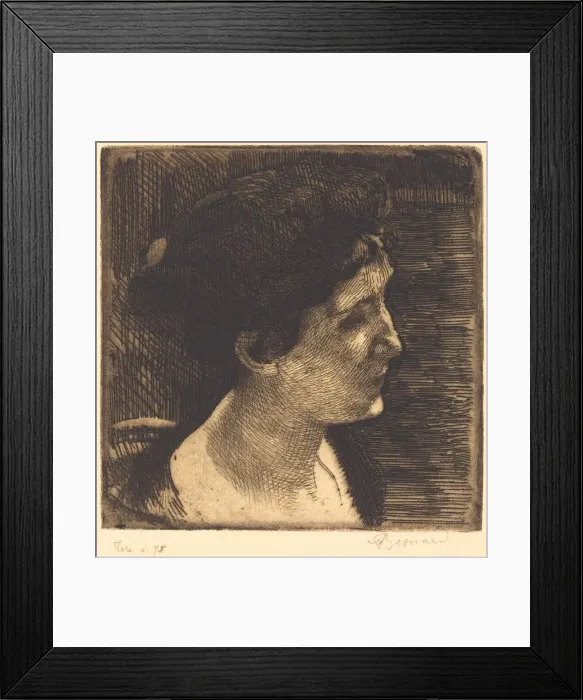 Framed Print : Woman in Full Profile (Grand profil de femme), 1892. Creator: Paul Albert Besnard Framed Print : Woman in Full Profile (Grand profil de femme), 1892. Creator: Paul Albert Besnard