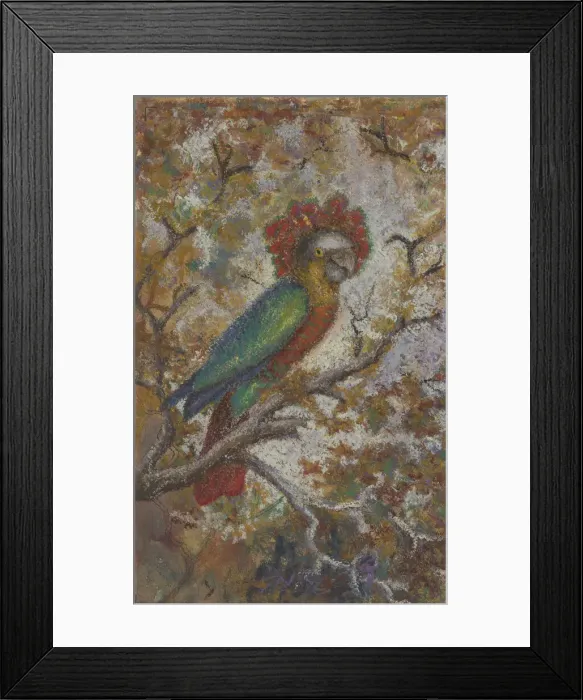 Framed Print : Parrot, 1909. Creator: William N. Buckner Framed Print : Parrot, 1909. Creator: William N. Buckner