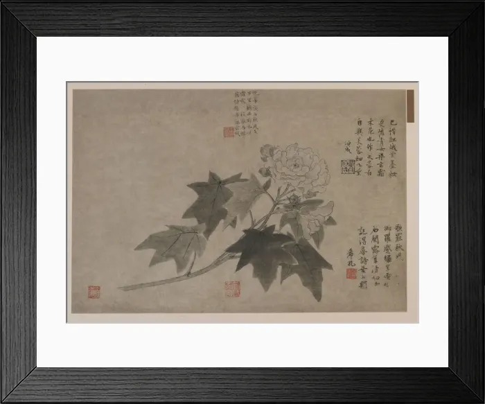 Framed Print : Hibiscus, 1347. Creator: Wang Yuan Framed Print : Hibiscus, 1347. Creator: Wang Yuan