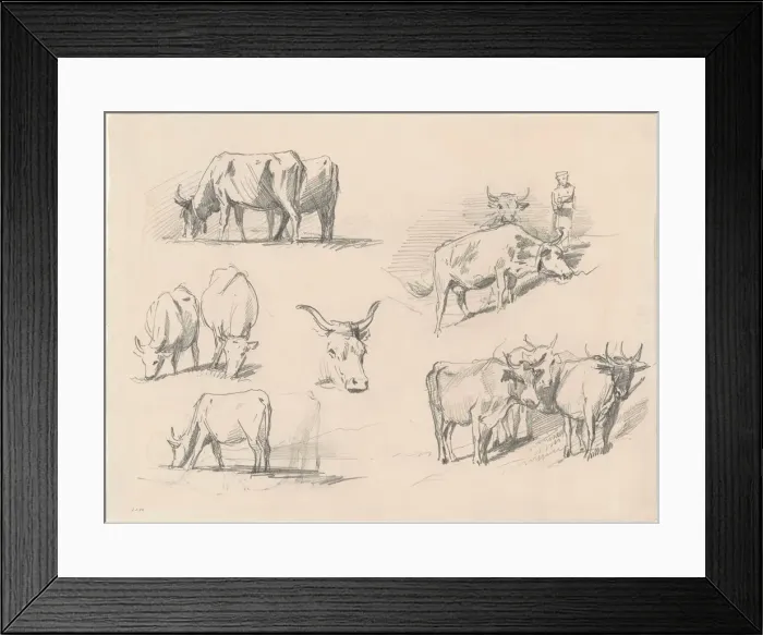 Framed Print : Studies of Cattle, c. 1872. Creator: John Singer Sargent Framed Print : Studies of Cattle, c. 1872. Creator: John Singer Sargent