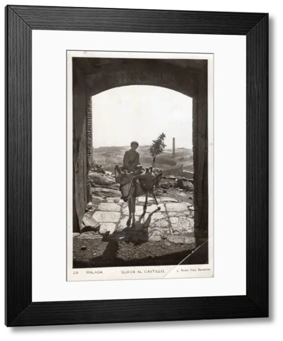 Framed Print : Boy with donkey, Malaga Castle, 1932. Creator: L Roisin Framed Print : Boy with donkey, Malaga Castle, 1932. Creator: L Roisin
