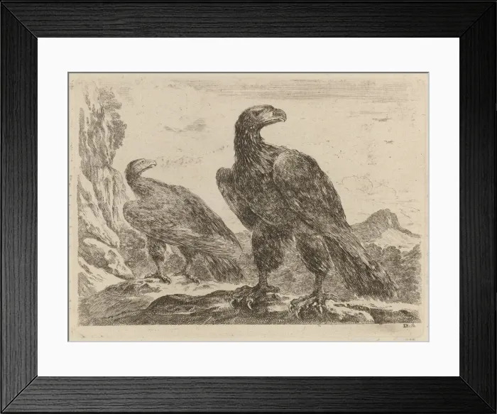 Framed Print : Two Eagles, Both with Heads Turned to the Right. Creator: Stefano della Bella Framed Print : Two Eagles, Both with Heads Turned to the Right. Creator: Stefano della Bella