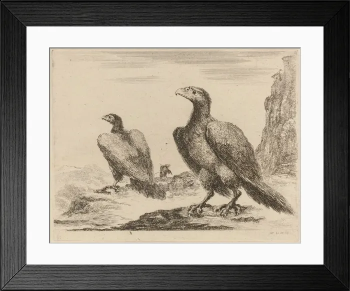 Framed Print : Two Eagles, Both with Heads Turned to the Left, On a High Cliff Framed Print : Two Eagles, Both with Heads Turned to the Left, On a High Cliff