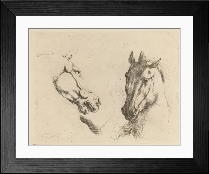Framed Print : Head of a Horse Seen in Profile and in Three-Quarters. Creator: Stefano della Bella Framed Print : Head of a Horse Seen in Profile and in Three-Quarters. Creator: Stefano della Bella