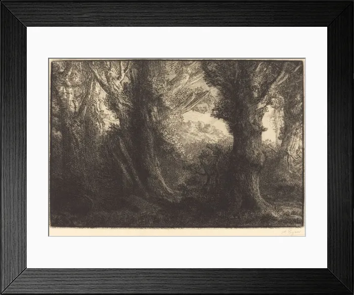 Framed Print : In the Forest of Conteville (Dans la foret de Conteville). Creator: Alphonse Legros Framed Print : In the Forest of Conteville (Dans la foret de Conteville). Creator: Alphonse Legros