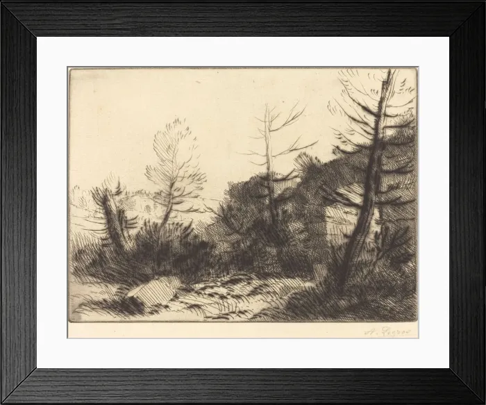 Framed Print : Roman Ruin (Ruine romaine). Creator: Alphonse Legros Framed Print : Roman Ruin (Ruine romaine). Creator: Alphonse Legros