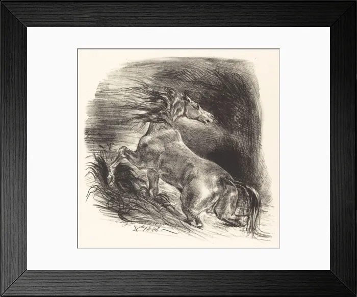 Framed Print : Wild Horse Coming out of the Water (Cheval sauvage), 1828. Creator: Eugene Delacroix Framed Print : Wild Horse Coming out of the Water (Cheval sauvage), 1828. Creator: Eugene Delacroix