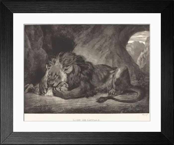 Framed Print : Lion of the Atlas Mountains (Lion de l Atlas), 1829. Creator: Eugene Delacroix Framed Print : Lion of the Atlas Mountains (Lion de l Atlas), 1829. Creator: Eugene Delacroix