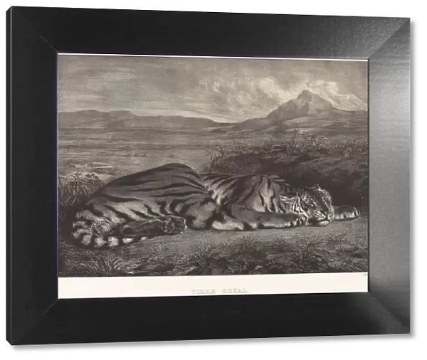 Royal Tiger (Tigre Royal), 1829. Creator: Eugene Delacroix