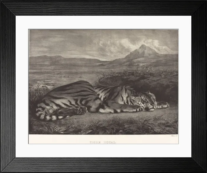 Framed Print : Royal Tiger (Tigre Royal), 1829. Creator: Eugene Delacroix Framed Print : Royal Tiger (Tigre Royal), 1829. Creator: Eugene Delacroix