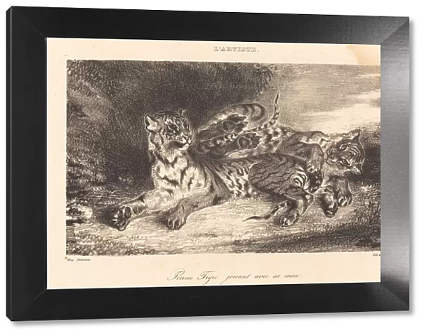 Young Tiger Playing with its Mother (Jeune tigre jouant avec sa mere), 1831