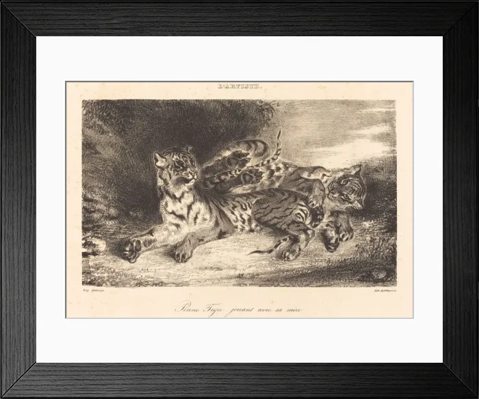 Framed Print : Young Tiger Playing with its Mother (Jeune tigre jouant avec sa mere), 1831 Framed Print : Young Tiger Playing with its Mother (Jeune tigre jouant avec sa mere), 1831
