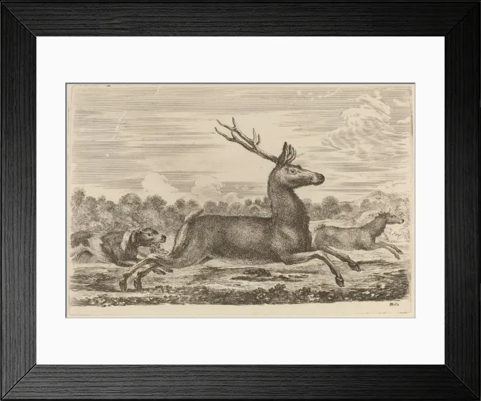 Framed Print : Deer Chased by Two Dogs to the Left. Creator: Stefano della Bella Framed Print : Deer Chased by Two Dogs to the Left. Creator: Stefano della Bella