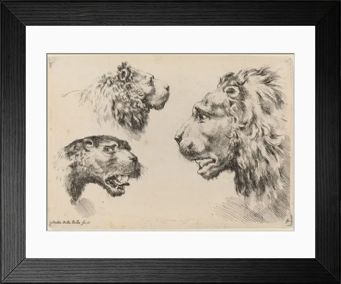 Framed Print : Three Lion Heads, probably 1649. Creator: Stefano della Bella Framed Print : Three Lion Heads, probably 1649. Creator: Stefano della Bella