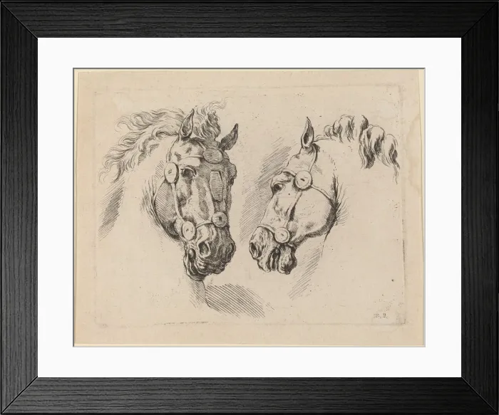 Framed Print : Two Horse Heads, probably 1649. Creator: Stefano della Bella Framed Print : Two Horse Heads, probably 1649. Creator: Stefano della Bella