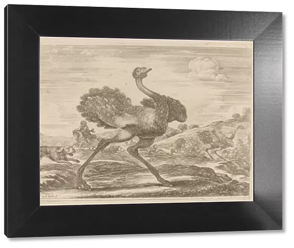 Ostrich Hunt. Creator: Stefano della Bella