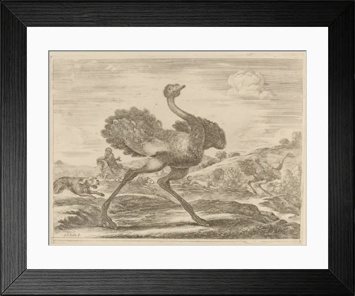 Framed Print : Ostrich Hunt. Creator: Stefano della Bella Framed Print : Ostrich Hunt. Creator: Stefano della Bella