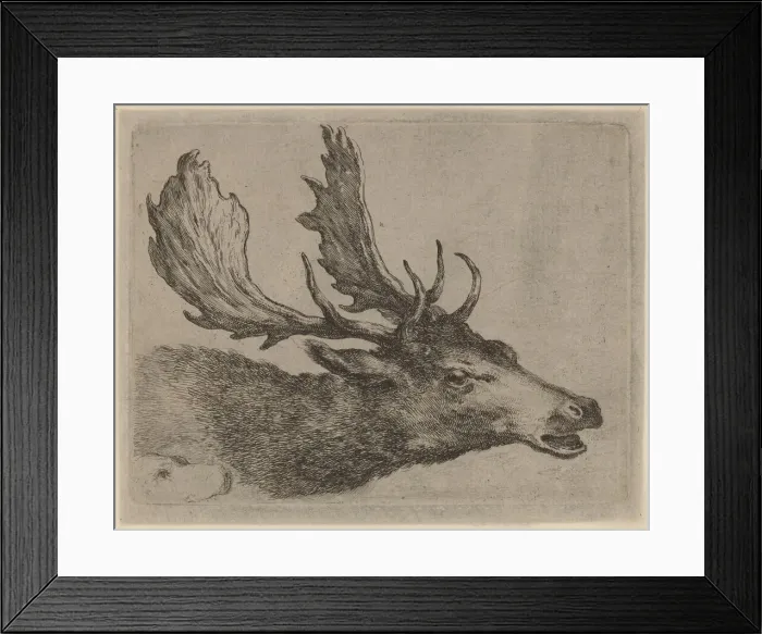 Framed Print : Head of a Stag Turned Right. Creator: Stefano della Bella Framed Print : Head of a Stag Turned Right. Creator: Stefano della Bella