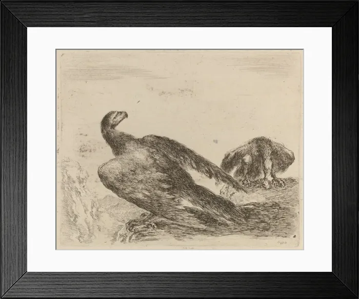 Framed Print : Two Eagles on a Promitory. Creator: Stefano della Bella Framed Print : Two Eagles on a Promitory. Creator: Stefano della Bella