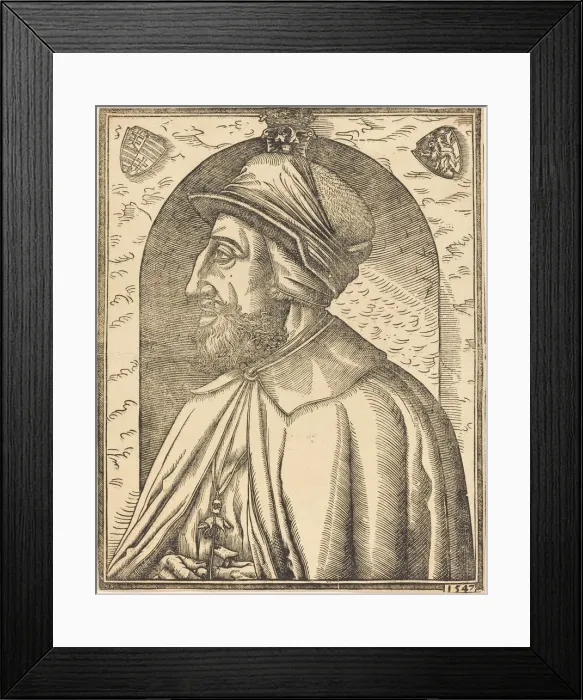 Framed Print : King Ferdinand of Austria, 1547. Creator: Unknown Framed Print : King Ferdinand of Austria, 1547. Creator: Unknown