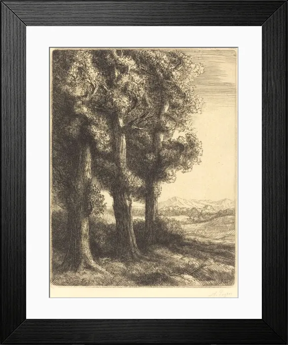 Framed Print : Corner of a Wood (Coin d un bois). Creator: Alphonse Legros Framed Print : Corner of a Wood (Coin d un bois). Creator: Alphonse Legros
