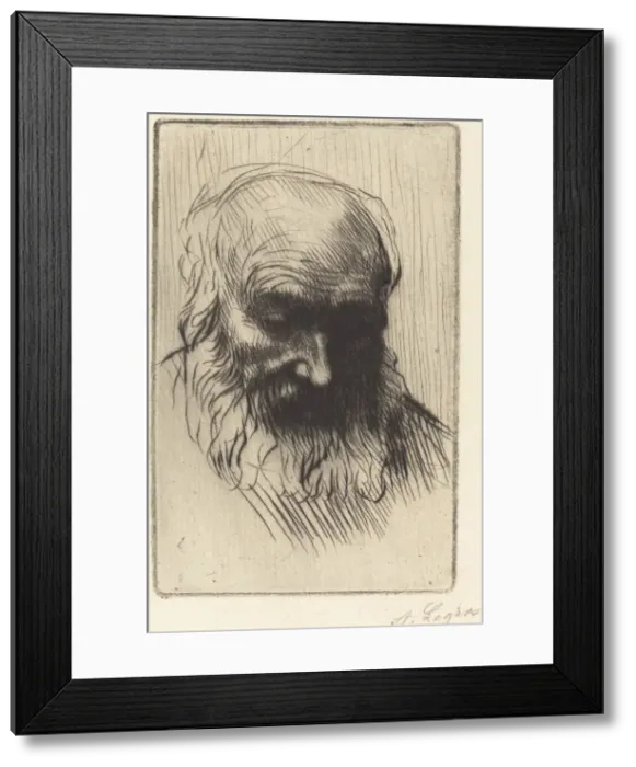 Framed Print : Head of an Old Man (Etude de tete). Creator: Alphonse Legros Framed Print : Head of an Old Man (Etude de tete). Creator: Alphonse Legros