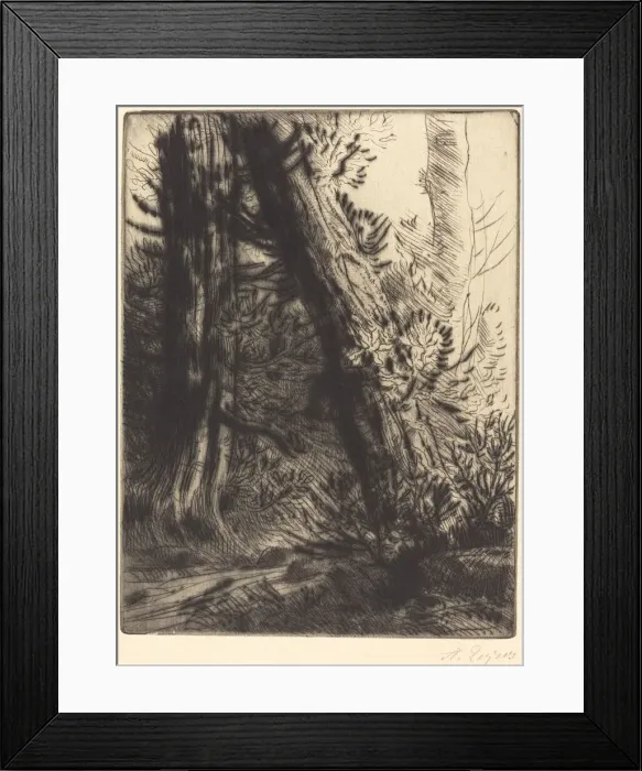 Framed Print : Edge of a Brook (Bord de ruisseau). Creator: Alphonse Legros Framed Print : Edge of a Brook (Bord de ruisseau). Creator: Alphonse Legros