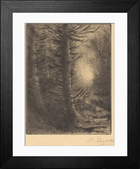 Framed Print : Woods in Winter Sun, 1st plate (Soleil d hiver dans les bois). Creator: Alphonse Legros Framed Print : Woods in Winter Sun, 1st plate (Soleil d hiver dans les bois). Creator: Alphonse Legros