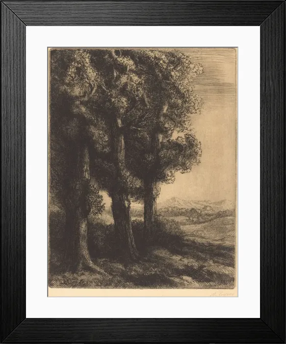 Framed Print : Corner of a Wood (Coin d un bois). Creator: Alphonse Legros
