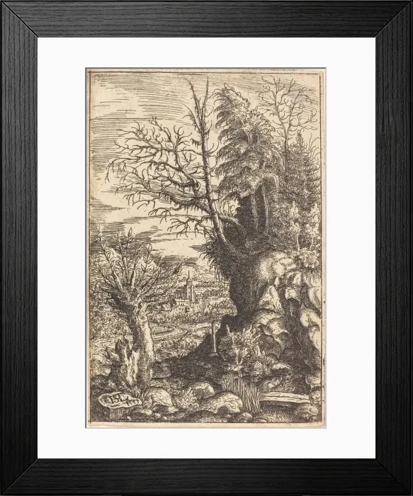 Framed Print : Landscape with a Willow, 1553. Creator: Hans Sebald Lautensack Framed Print : Landscape with a Willow, 1553. Creator: Hans Sebald Lautensack