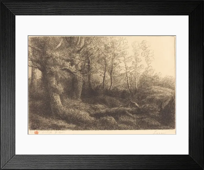 Framed Print : In the Forest (Lisiere de foret). Creator: Alphonse Legros Framed Print : In the Forest (Lisiere de foret). Creator: Alphonse Legros