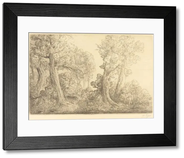 Framed Print : Near the Woods, Veronne (Pres du bois, Veronne). Creator: Alphonse Legros Framed Print : Near the Woods, Veronne (Pres du bois, Veronne). Creator: Alphonse Legros