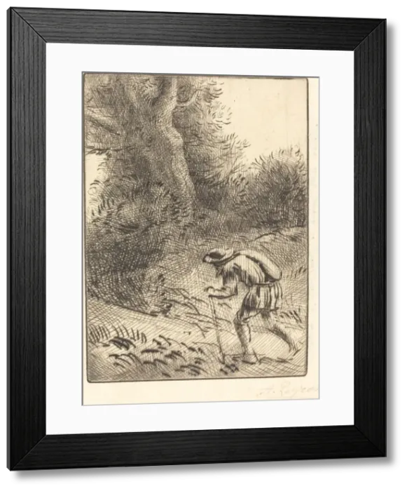 Framed Print : Little Wandering Jew (Le petit juif errant). Creator: Alphonse Legros Framed Print : Little Wandering Jew (Le petit juif errant). Creator: Alphonse Legros