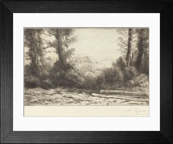 Framed Print : Edge of a Wood (Lisiere de bois). Creator: Alphonse Legros Framed Print : Edge of a Wood (Lisiere de bois). Creator: Alphonse Legros