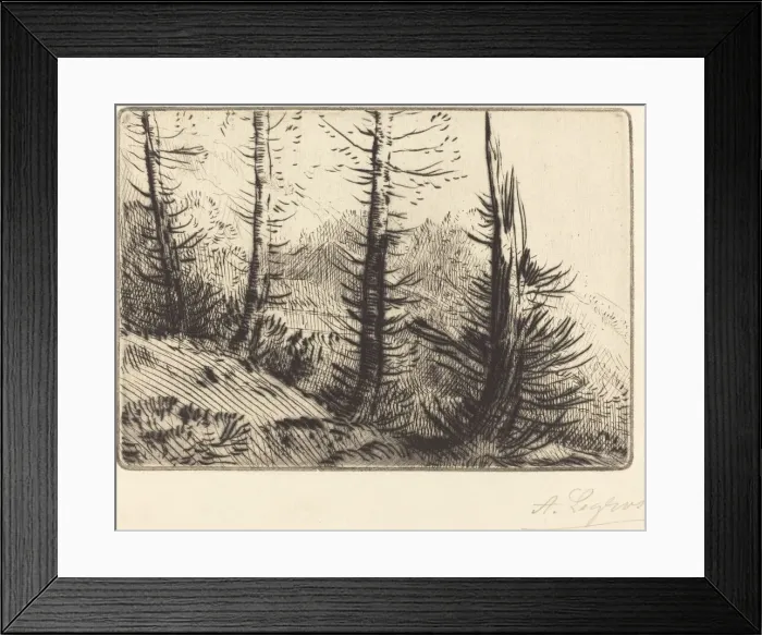 Framed Print : In the Pyrenees (Dans les Pyrenees). Creator: Alphonse Legros Framed Print : In the Pyrenees (Dans les Pyrenees). Creator: Alphonse Legros