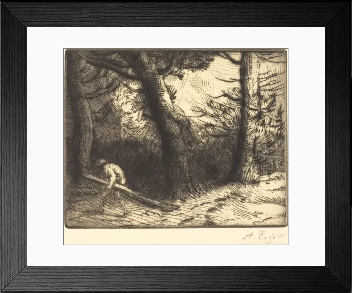 Framed Print : Edge of a Forest in Bourgogne (Un coin de foret en Bourgogne). Creator: Alphonse Legros Framed Print : Edge of a Forest in Bourgogne (Un coin de foret en Bourgogne). Creator: Alphonse Legros